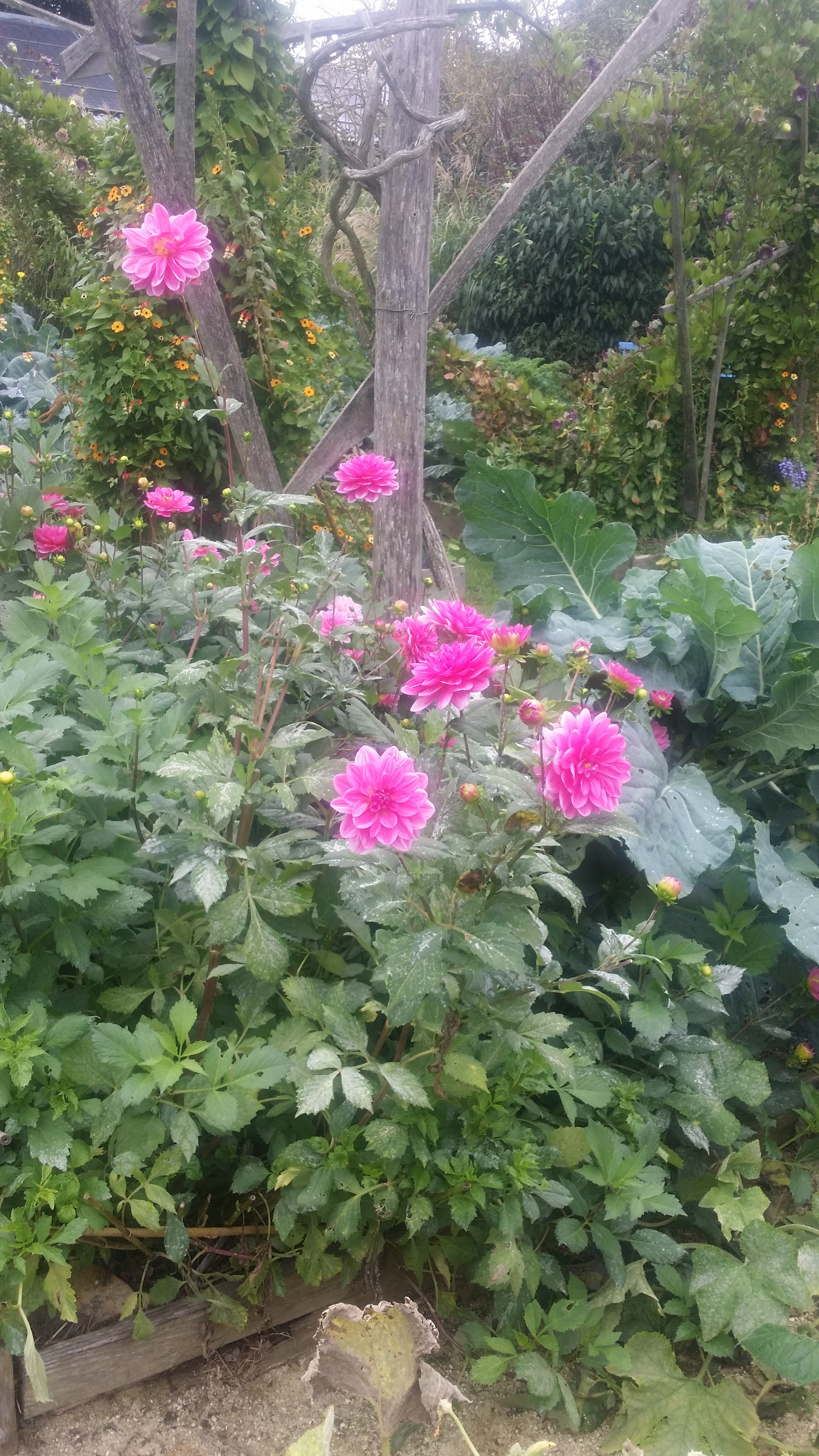Photo n° 12 de l'avis de Alain.o fait le 05/10/2019 à 14:06