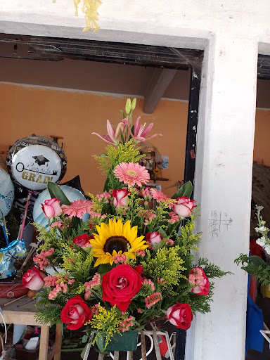 Floreria Gina