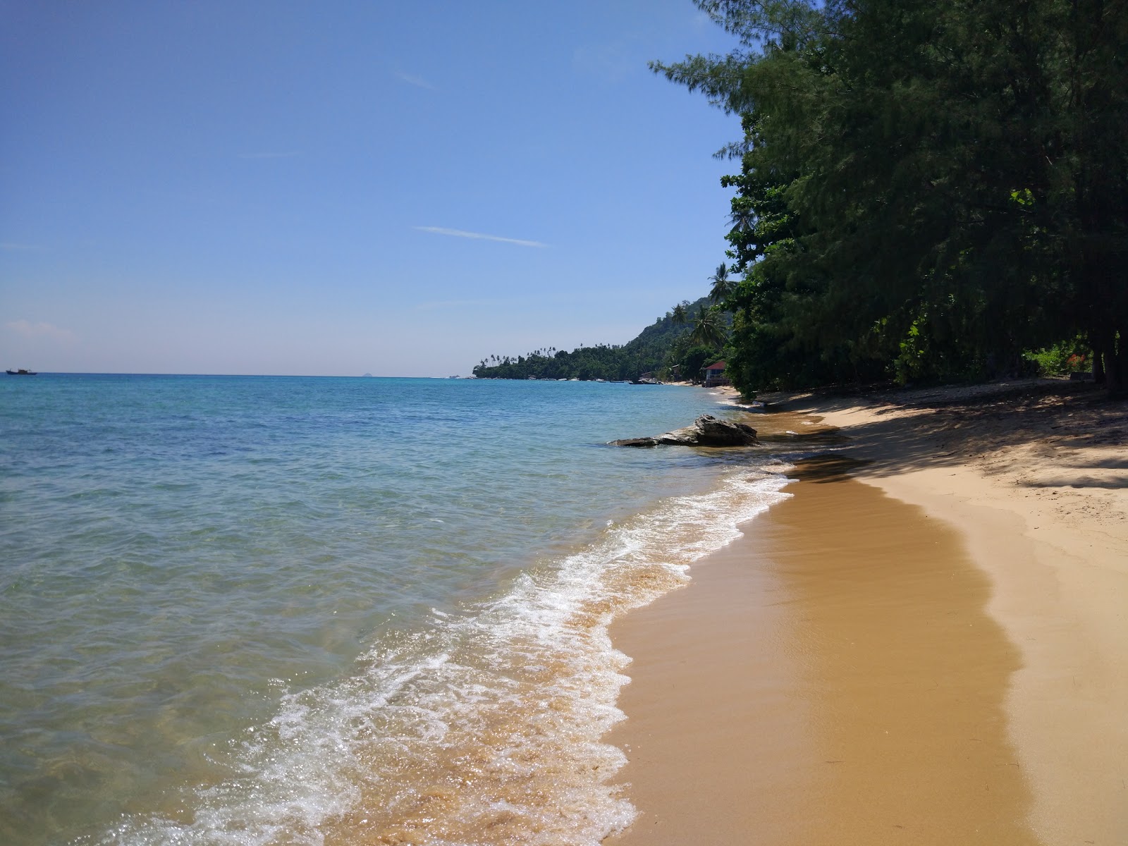 Photo of Coral Beach Tioman with very clean level of cleanliness