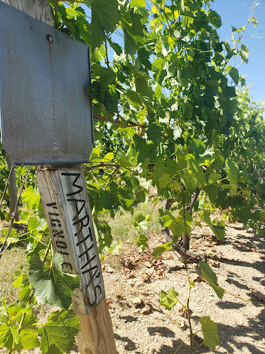 Winery «Domaine Berrien Cellars», reviews and photos, 398 E Lemon Creek Rd, Berrien Springs, MI 49103, USA