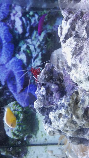 Pet Supply Store «Petco Animal Supplies», reviews and photos, 955 Ferry Blvd, Stratford, CT 06614, USA