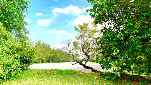 Casino «Hialeah Park», reviews and photos, 2200 E 4th Ave, Hialeah, FL 33013, USA