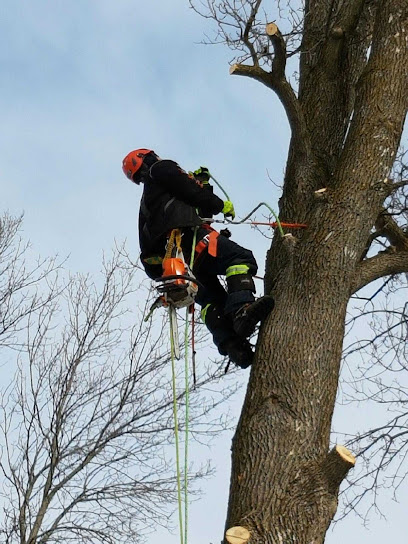 Quality Cut Tree Service