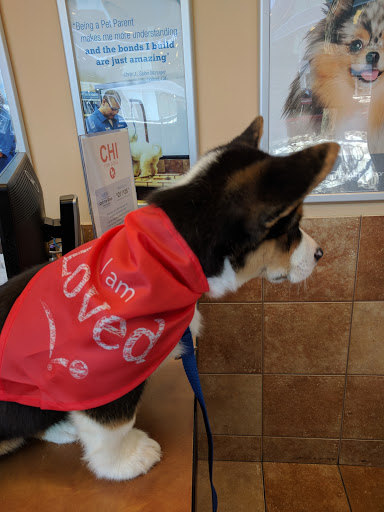 Pet Supply Store «PetSmart», reviews and photos, 238 Atlantic Ave, Brooklyn, NY 11201, USA