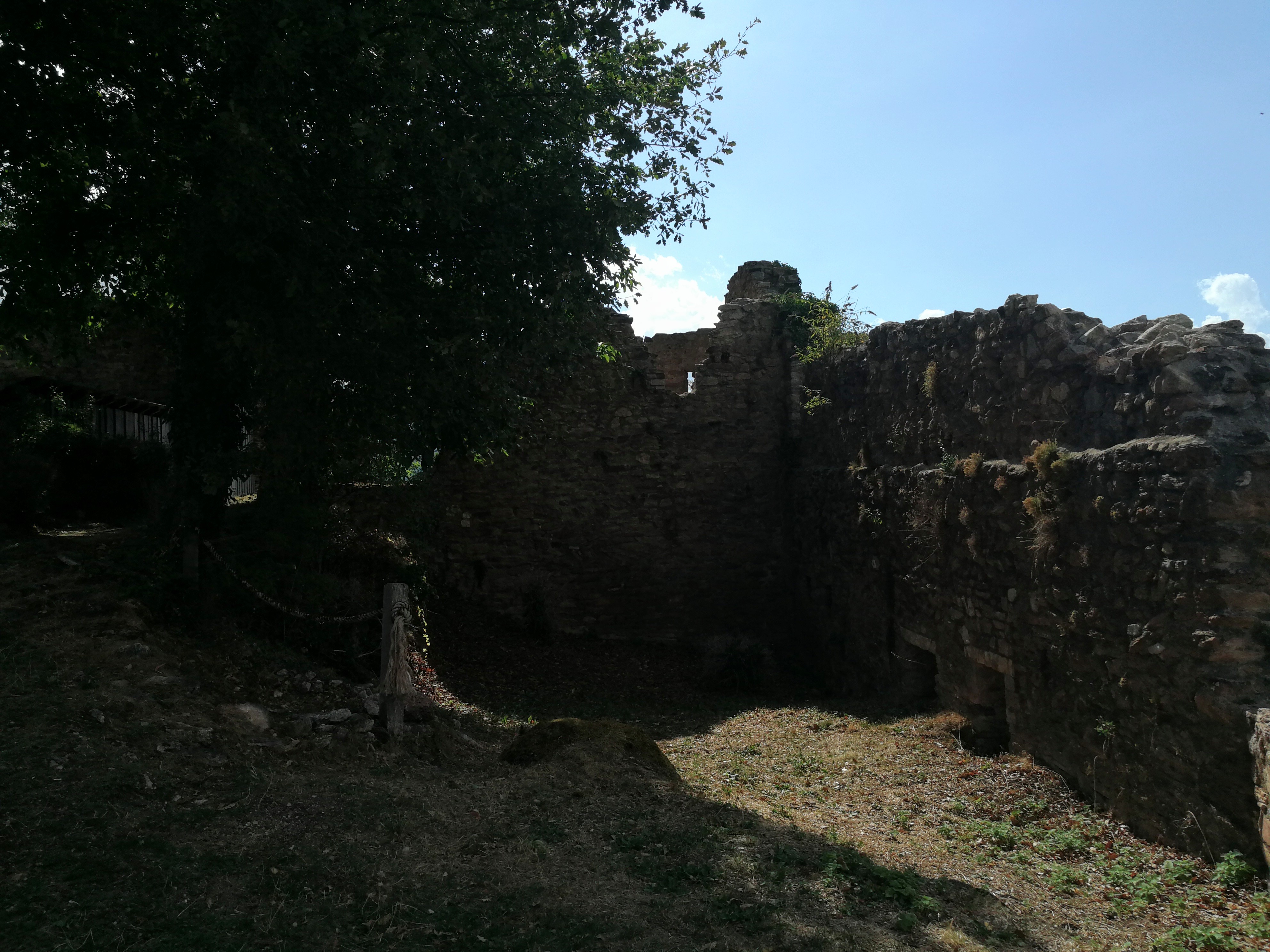 Photo n° 4 de l'avis de Fauvel.l fait le 31/08/2022 à 10:45