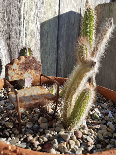 Gift Shop «GENERAL STORE», reviews and photos, 4035 Judah St, San Francisco, CA 94122, USA