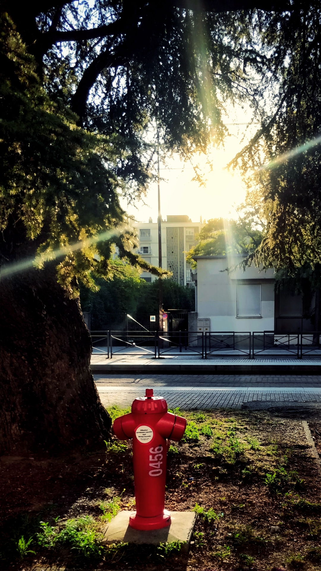 Photo n° 1 de l'avis de Amogh.s fait le 11/10/2018 à 09:36