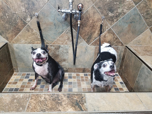 Pet Supply Store «Pet Valu», reviews and photos, 1305 West Seventh Street #28, Frederick, MD 21702, USA