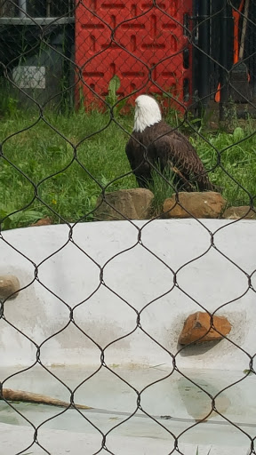 Zoo «Turtle Back Zoo», reviews and photos, 560 Northfield Ave, West Orange, NJ 07052, USA