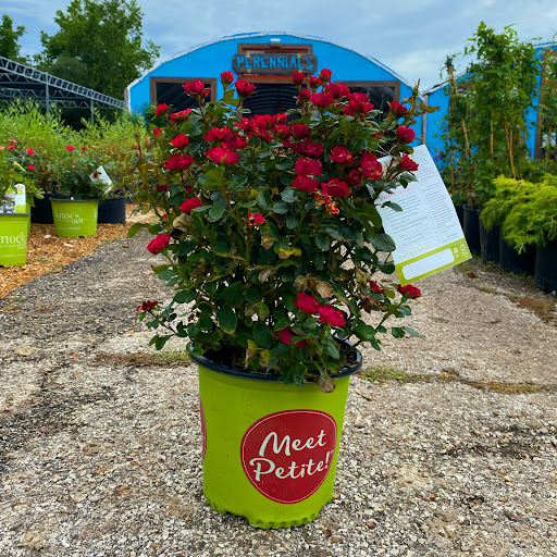 Landscaping Supply Store «Kirkwood Gardens», reviews and photos, 2701 Barrett Station Rd, Ballwin, MO 63021, USA