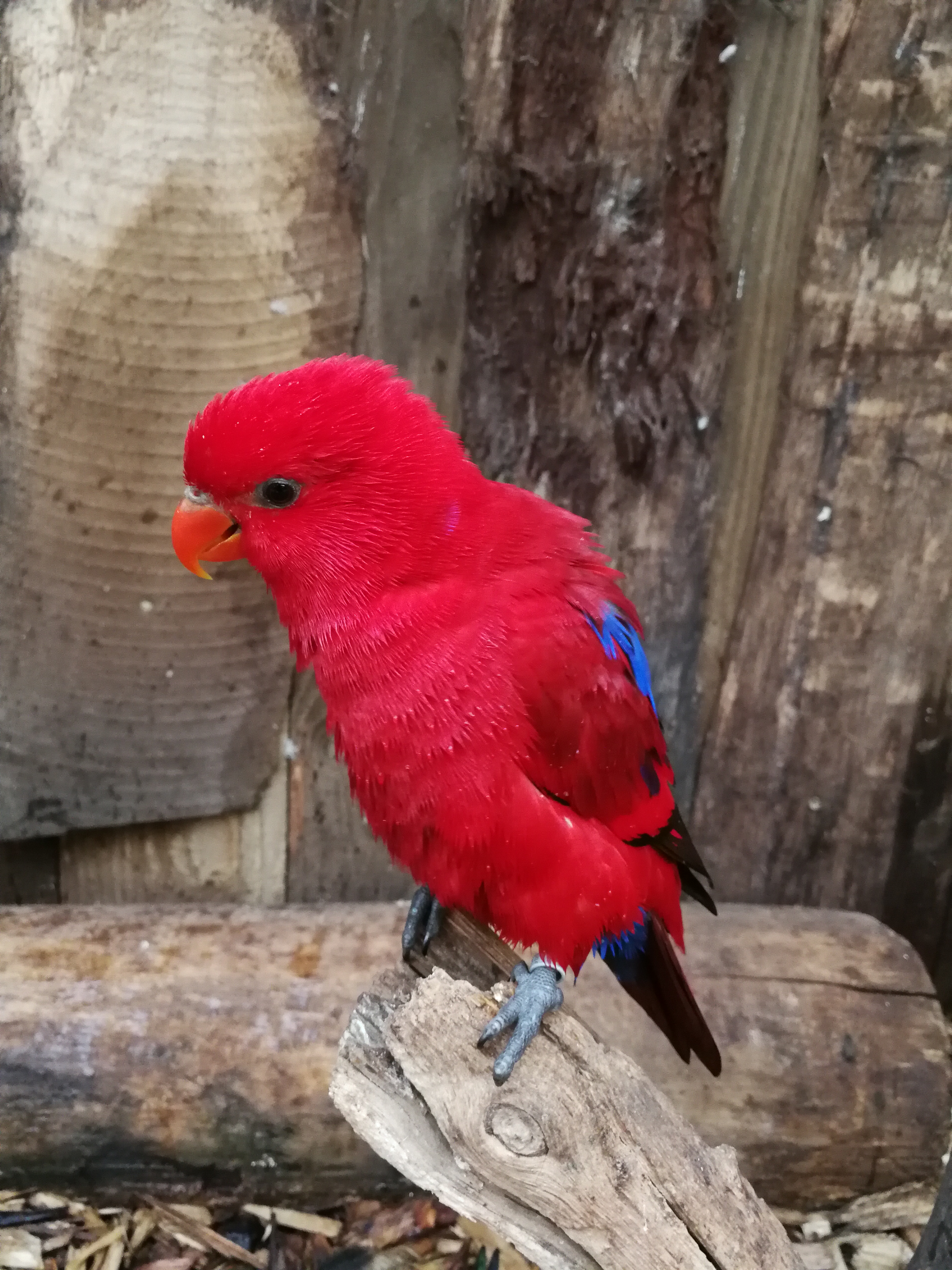 Photo n° 4 de l'avis de Carlito.H fait le 20/06/2018 à 18:07