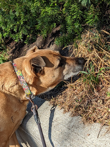 Park «Travers Park», reviews and photos, 76-9 34th Ave, Jackson Heights, NY 11372, USA