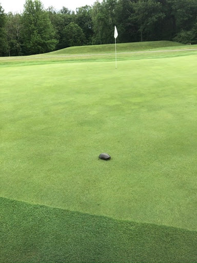 Golf Course «Deer Track Golf Club», reviews and photos, 775 N County Road 700 W, Frankfort, IN 46041, USA