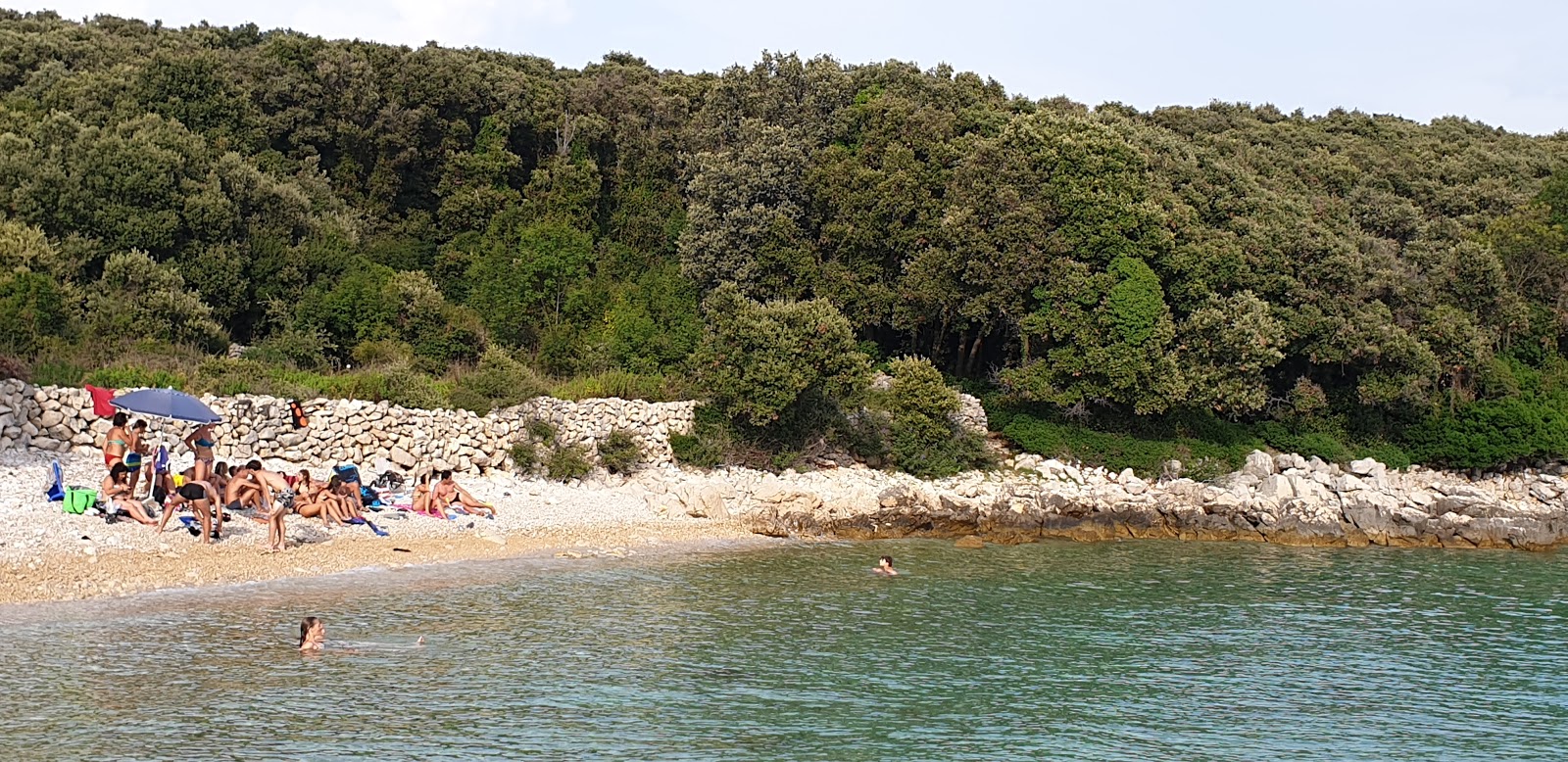 Photo of Portogruaresi beach wild area