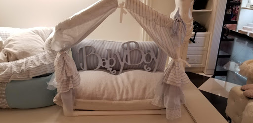 Pet Store «Puppy Boutique Store», reviews and photos, 4001 N Federal Hwy, Fort Lauderdale, FL 33308, USA