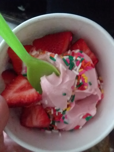Frozen Yogurt Shop «Yogurt Mountain», reviews and photos, 1801 W Tennessee St #2, Tallahassee, FL 32304, USA