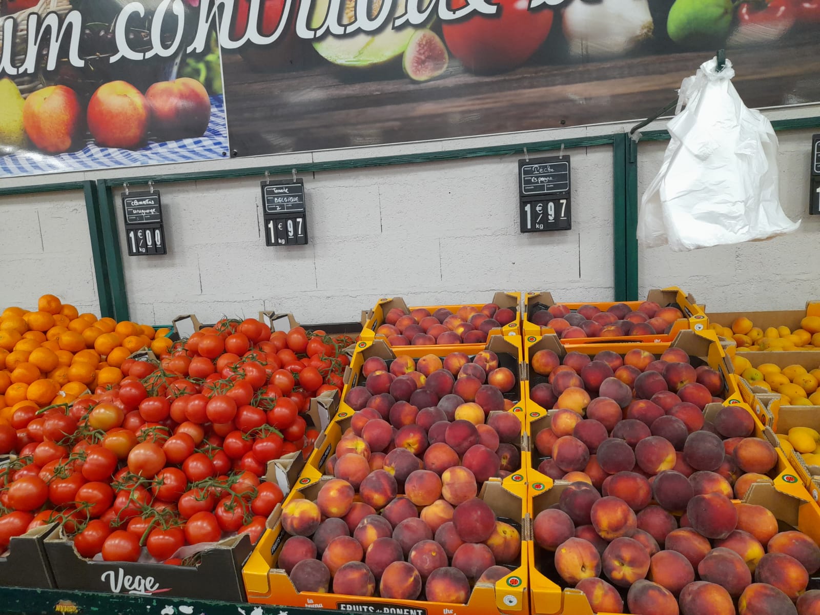 Photo n° 18 de l'avis de Lecticia.a fait le 04/09/2023 à 13:28