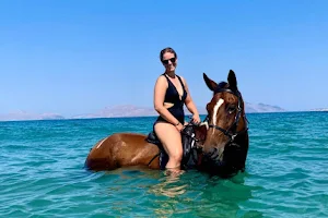 Salt Lake Stables Horse Riding Kos image
