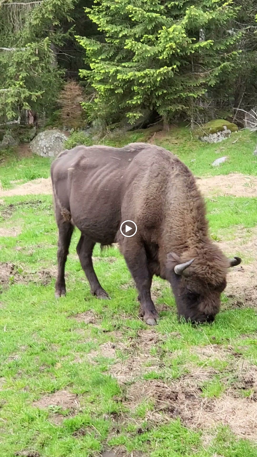 Photo n° 6 de l'avis de Joseph.e fait le 07/06/2023 à 21:11