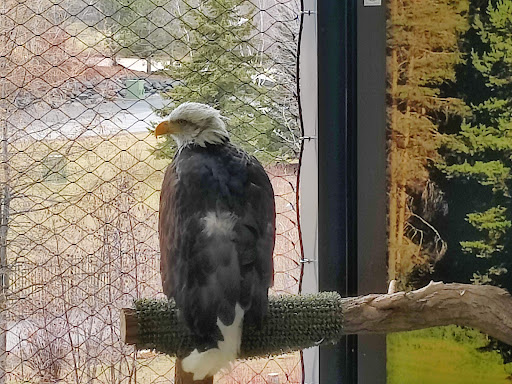 Aquarium «Great Lakes Aquarium», reviews and photos, 353 Harbor Dr, Duluth, MN 55802, USA