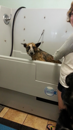 Pet Supply Store «Pet Food Gone Wild», reviews and photos, 2415 Southern Blvd SE, Rio Rancho, NM 87124, USA