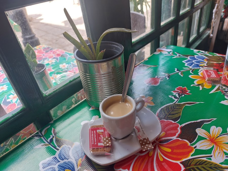 EL RINCON VERDE