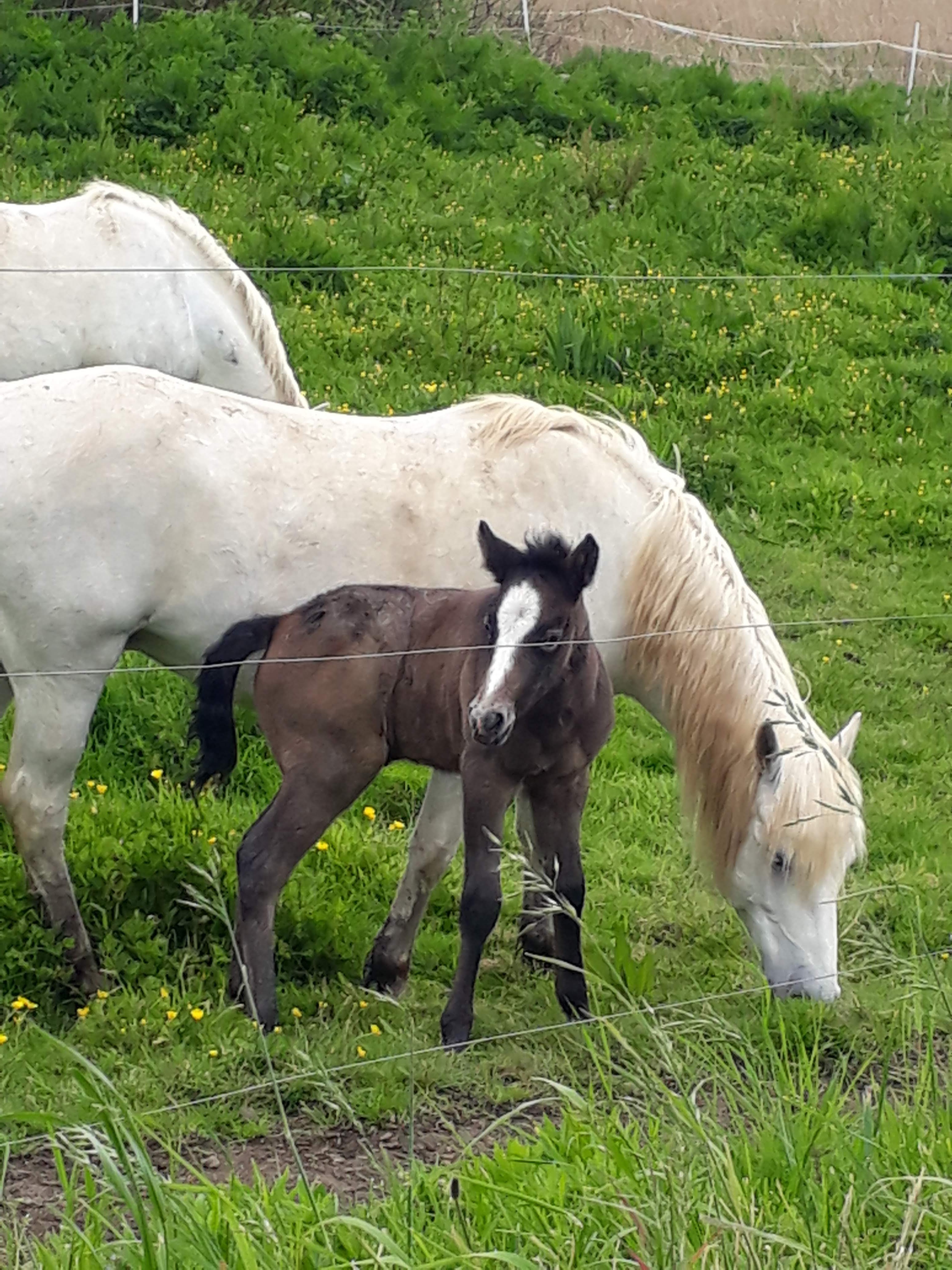 Photo n° 1 de l'avis de Claude.n fait le 25/07/2019 à 20:30
