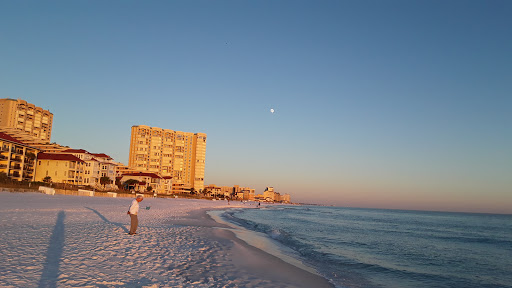 Tourist Attraction «Beach Sand Sculptures», reviews and photos, 15000 Emerald Coast Pkwy, Destin, FL 32541, USA