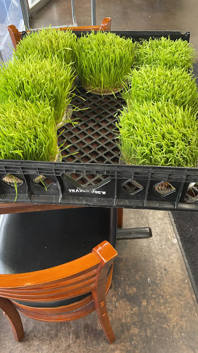 Grocery Store «Fulton Green Market», reviews and photos, 1826 Fulton Ave, Sacramento, CA 95825, USA