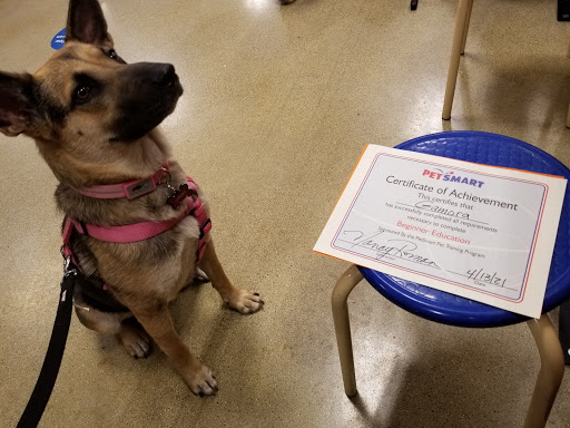 Pet Supply Store «PetSmart», reviews and photos, 162 S Gary Ave, Bloomingdale, IL 60108, USA