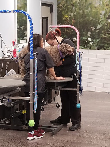 Pet Store «PetSmart», reviews and photos, 267 Berlin Turnpike, Berlin, CT 06037, USA