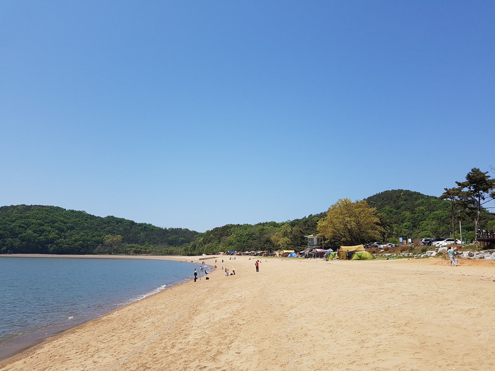 Handlehae Beach的照片 带有宽敞的海岸