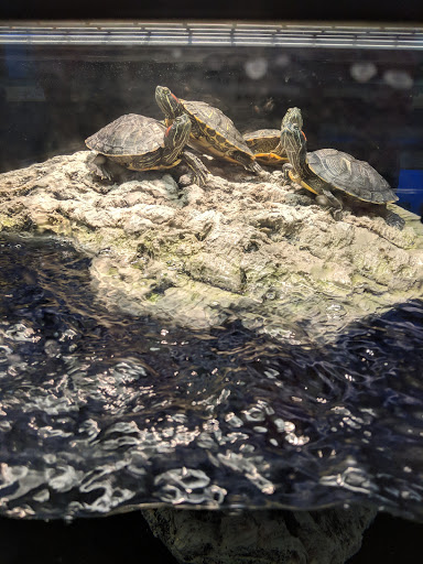 Pet Supply Store «Petco Animal Supplies», reviews and photos, 160 Sayebrook Pkwy, Myrtle Beach, SC 29588, USA