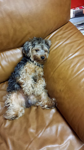 Home Improvement Store «The Home Depot», reviews and photos, 1195 N State Rd 7, North Lauderdale, FL 33068, USA