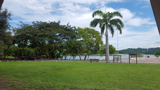 Parque Lago