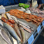 Photo n°6 de l'avis de pannanusha. fait le 03/09/2022 à 12:00 sur le  Onda Blu à Syracuse