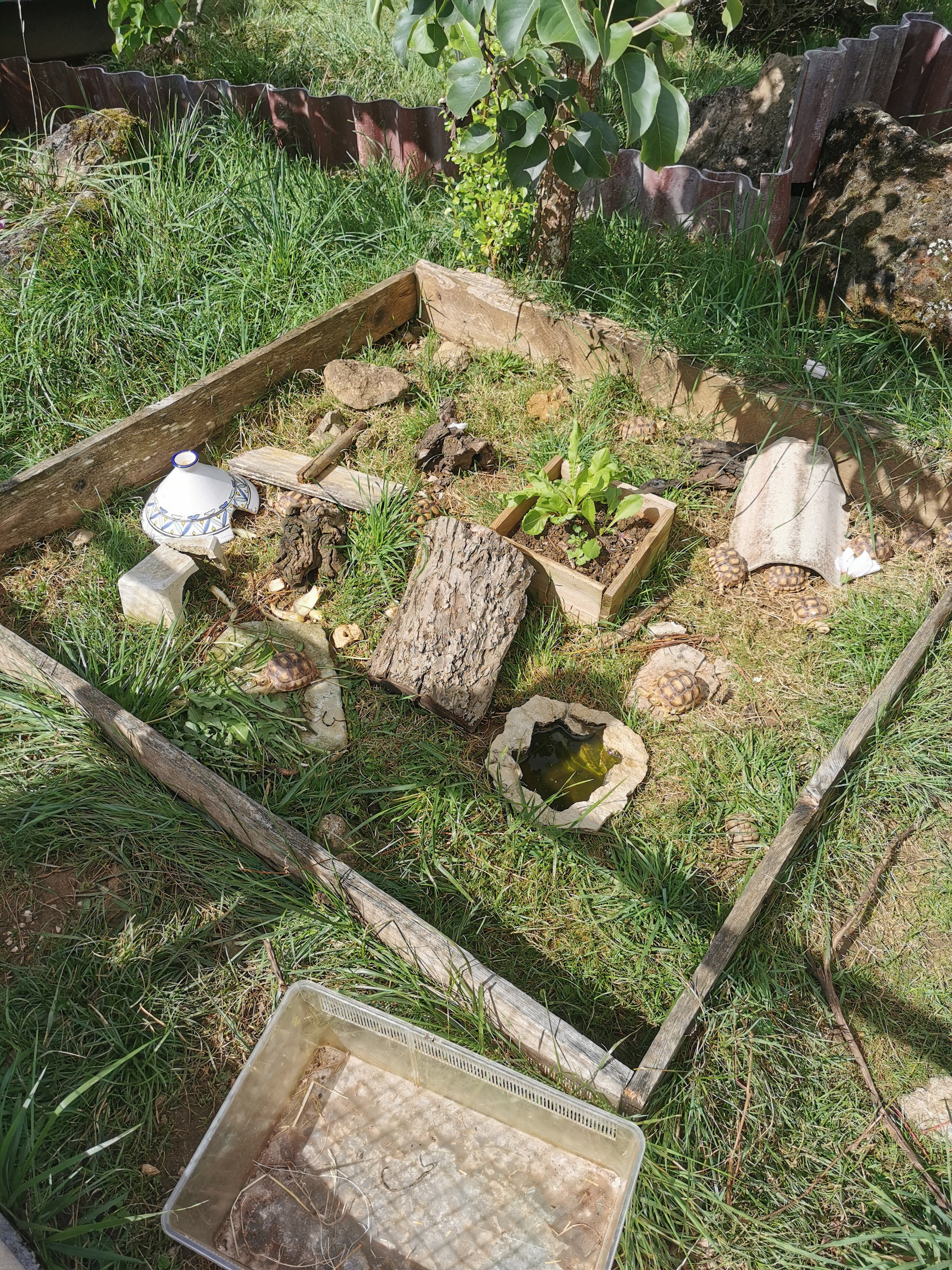 Photo n° 1 de l'avis de Jean-Renaud.e fait le 31/07/2023 à 11:20