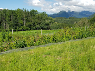 Photo n°8 de Chez le Suisse à Reyvroz ()