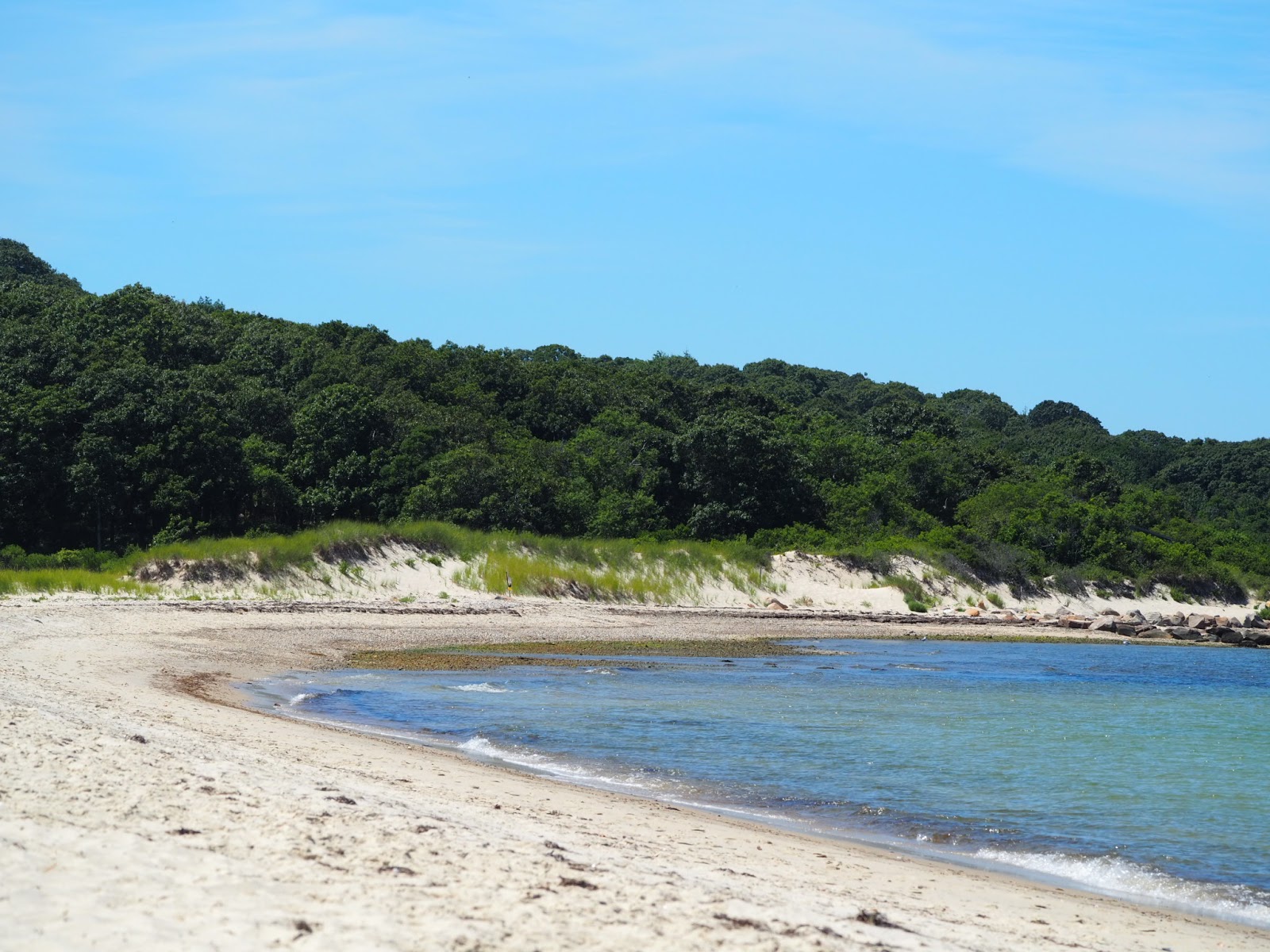 Photo of Lambert's Cove Beach with very clean level of cleanliness