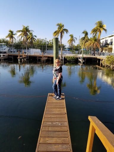 Recreation «Dolphins Plus Oceanside», reviews and photos, 31 Corinne Pl, Key Largo, FL 33037, USA