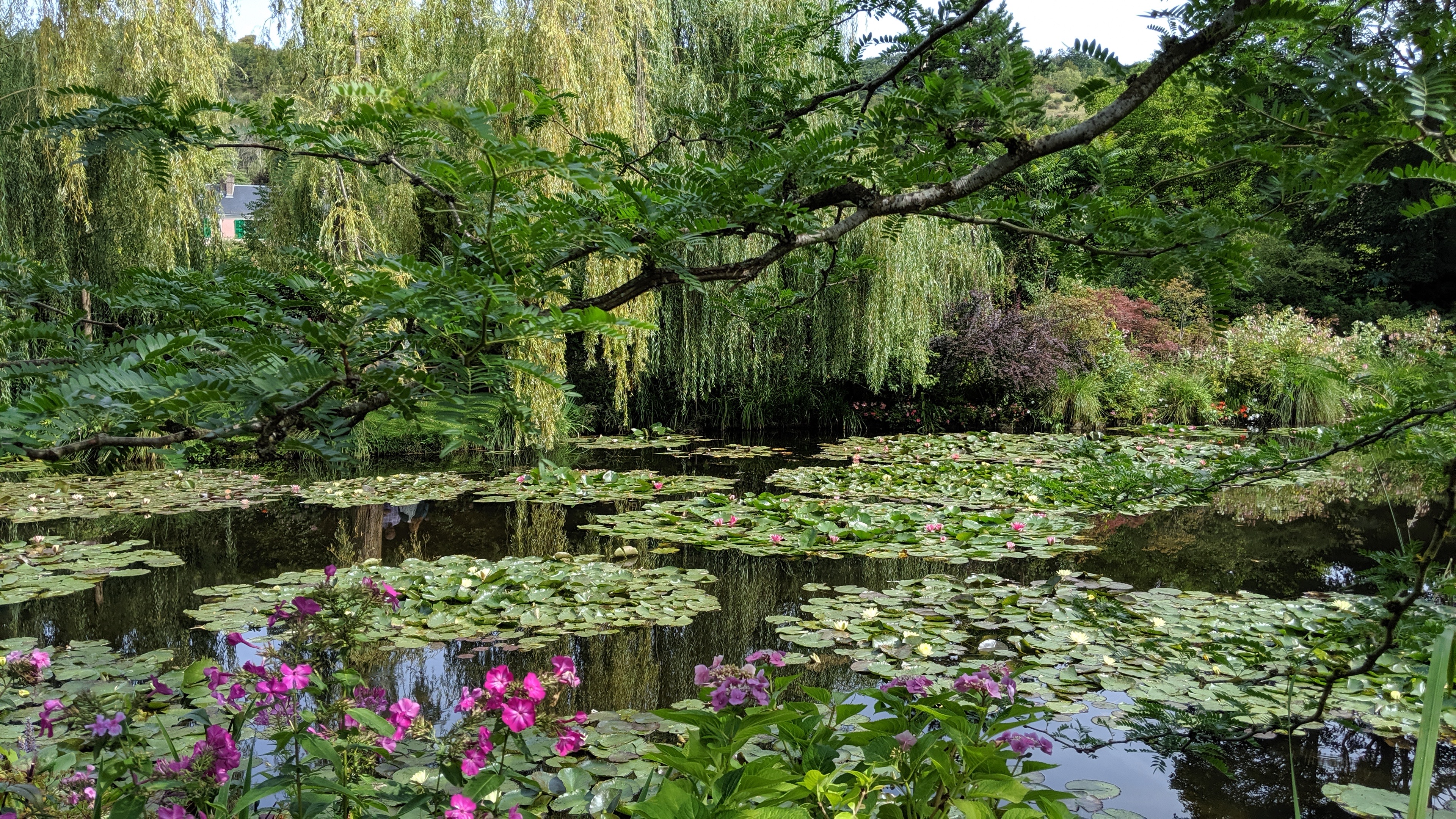 Photo n° 21 de l'avis de Tristan.a fait le 09/08/2021 à 16:22