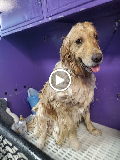 Drug Store «CVS», reviews and photos, 12015 Little Rd, Hudson, FL 34667, USA