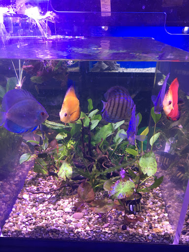 Pet Store «Woofs & Waves», reviews and photos, 5426 Arrowhead Pkwy E, Sioux Falls, SD 57110, USA