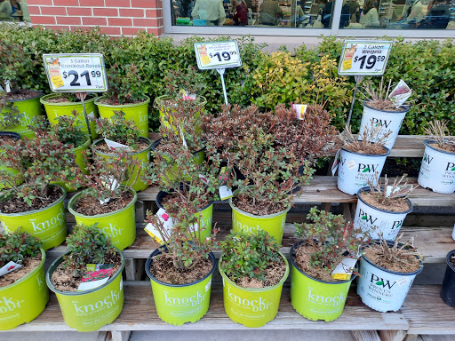 Grocery Store «Market Basket», reviews and photos, 301 Constitution Ave, Littleton, MA 01460, USA