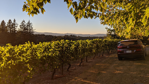 Winery «Kramer Vineyards», reviews and photos, 26830 NW Olson Rd, Gaston, OR 97119, USA