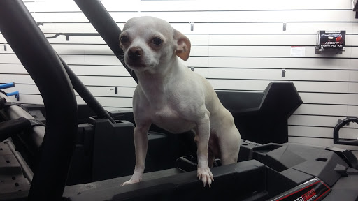 Motorcycle Dealer «MR Motorcycle», reviews and photos, 774 Hendersonville Rd, Asheville, NC 28803, USA