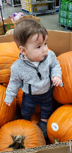 Warehouse club «BJ’s Wholesale Club», reviews and photos, 125 Cross Rd, Waterford, CT 06385, USA