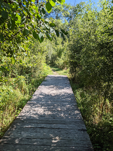 Park «Acushnet Sawmill», reviews and photos, 32 Mill Rd, Acushnet, MA 02743, USA