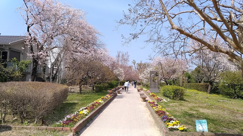 さくら通り（元茨木川）