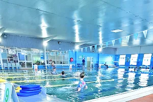 Dive In Swimming Academy image